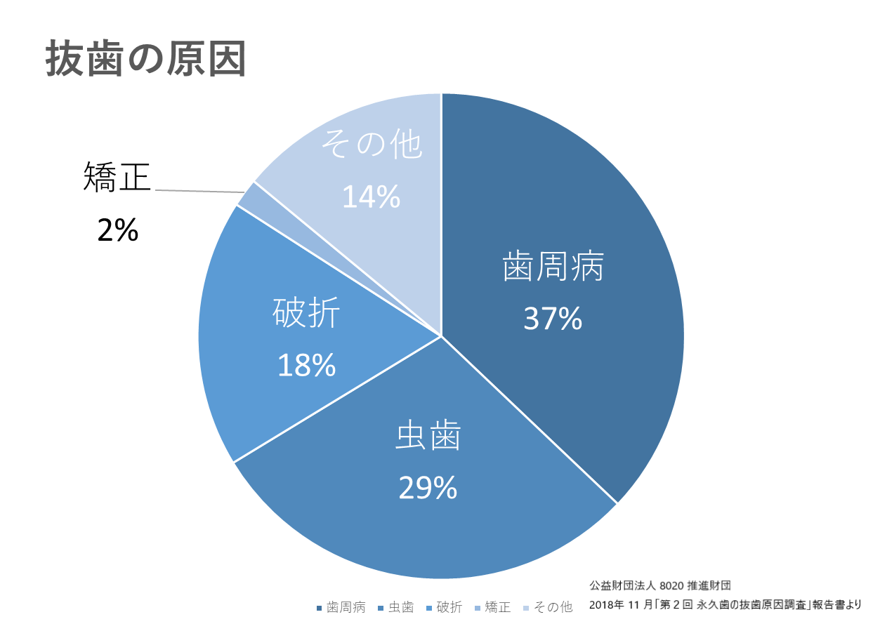 一般歯科